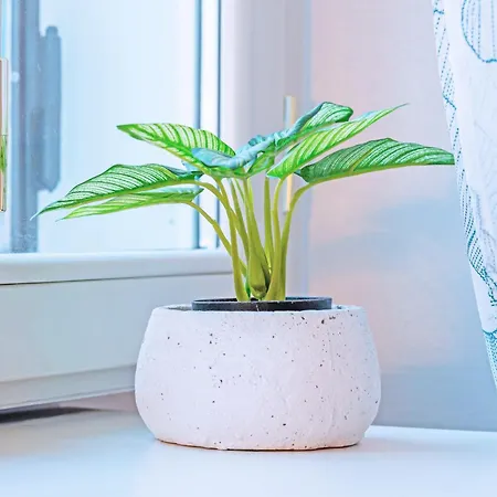 Chiaro - Casa Collina Bergamo