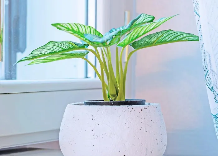 Chiaro - Casa Collina Bergamo